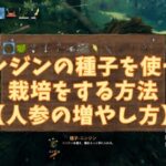 Valheim|ニンジンの種子を使って栽培をする方法【人参の増やし方】