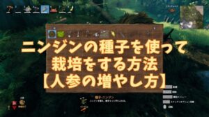 Valheim｜ニンジンの種子を使って栽培をする方法【人参の増やし方】